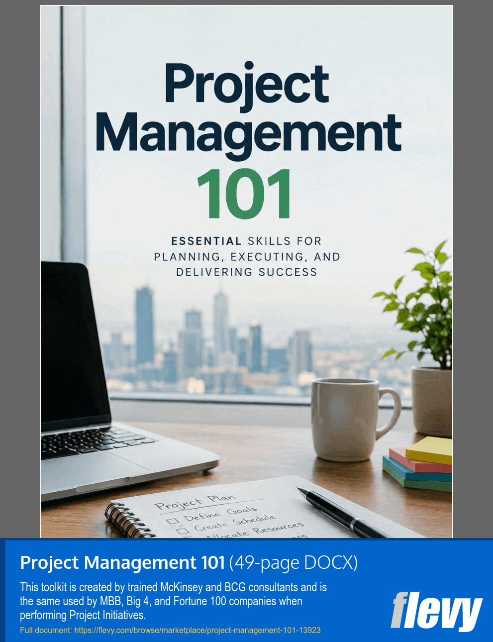 Project Management 101 (49-page Word document) Preview Image