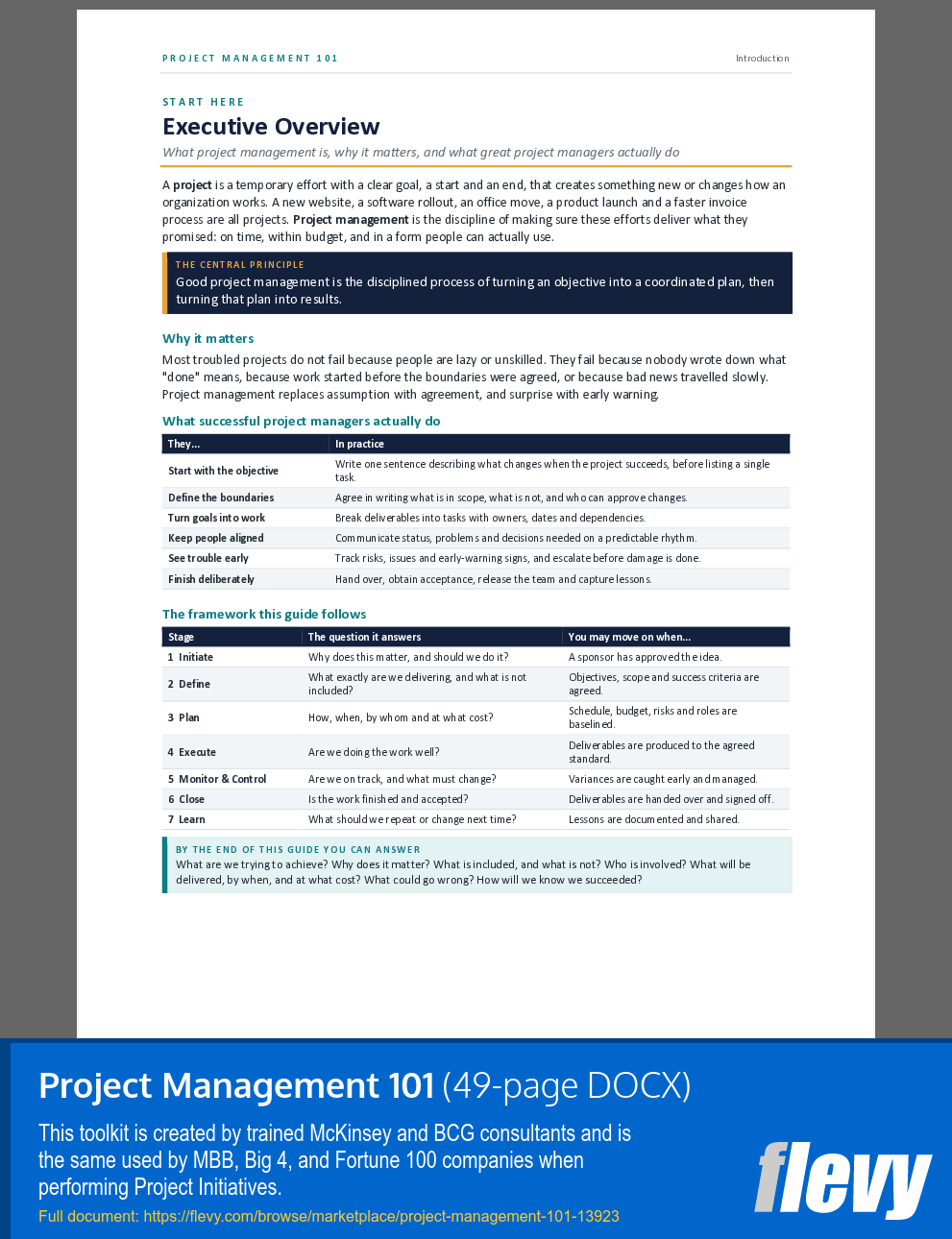 Project Management 101 (49-page Word document) Preview Image
