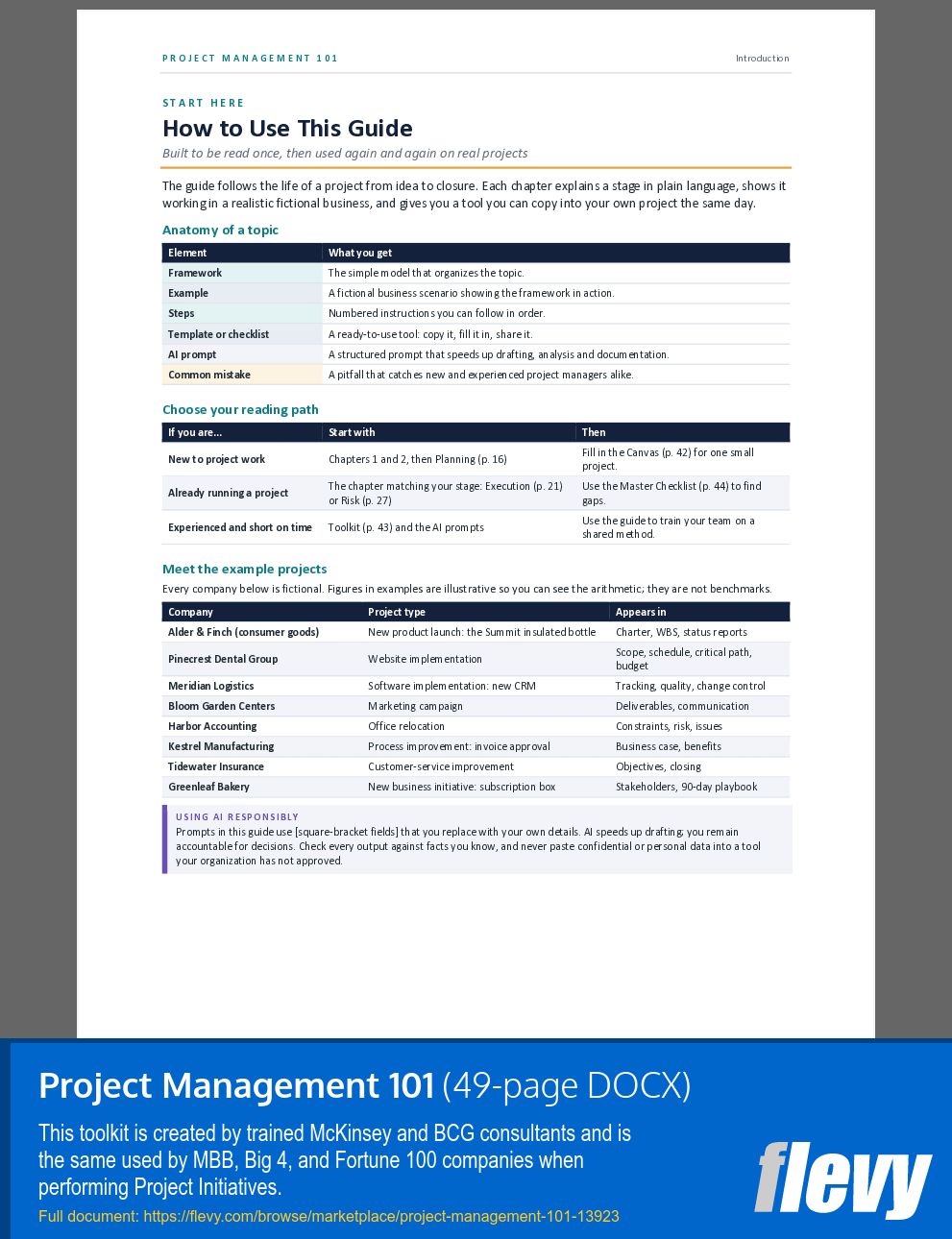 Project Management 101 (49-page Word document) Preview Image