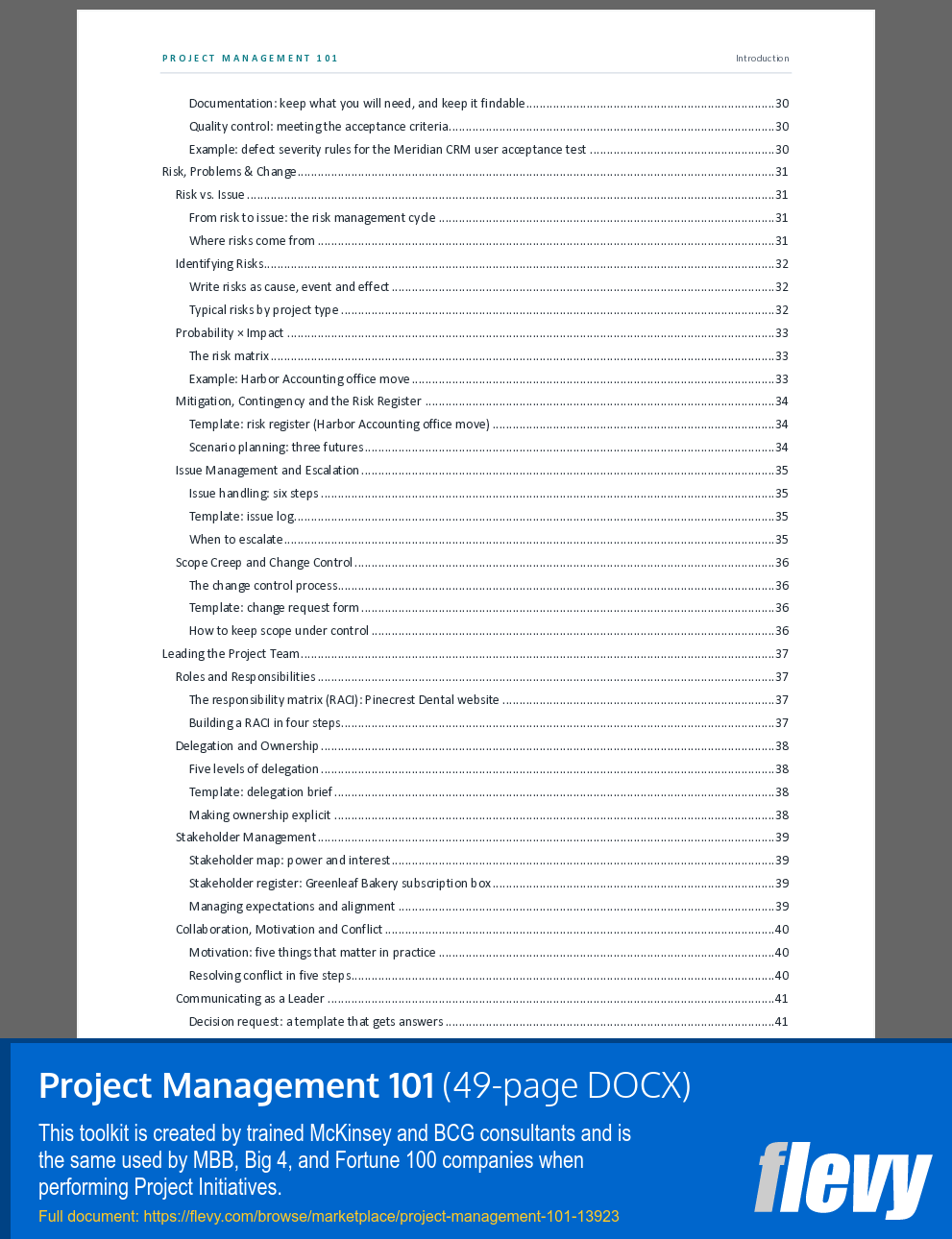Project Management 101 (49-page Word document) Preview Image