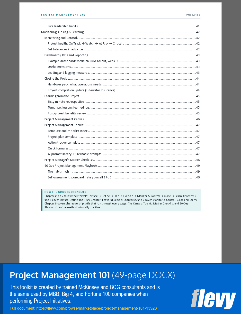 Project Management 101 (49-page Word document) Preview Image