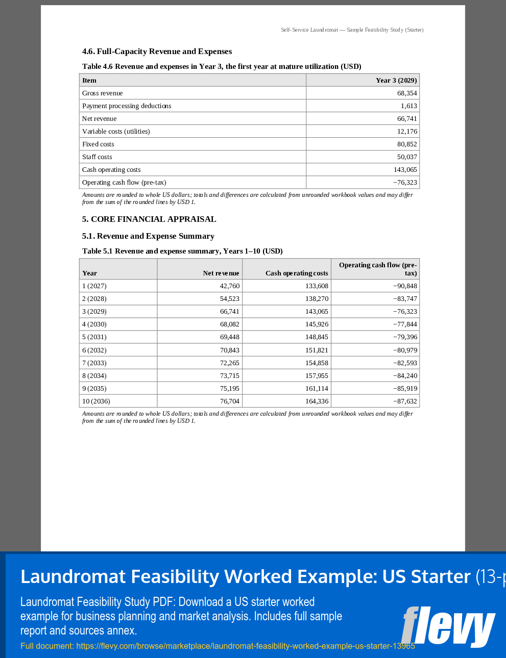 Laundromat Feasibility Worked Example: US Starter (13-page PDF document) Preview Image