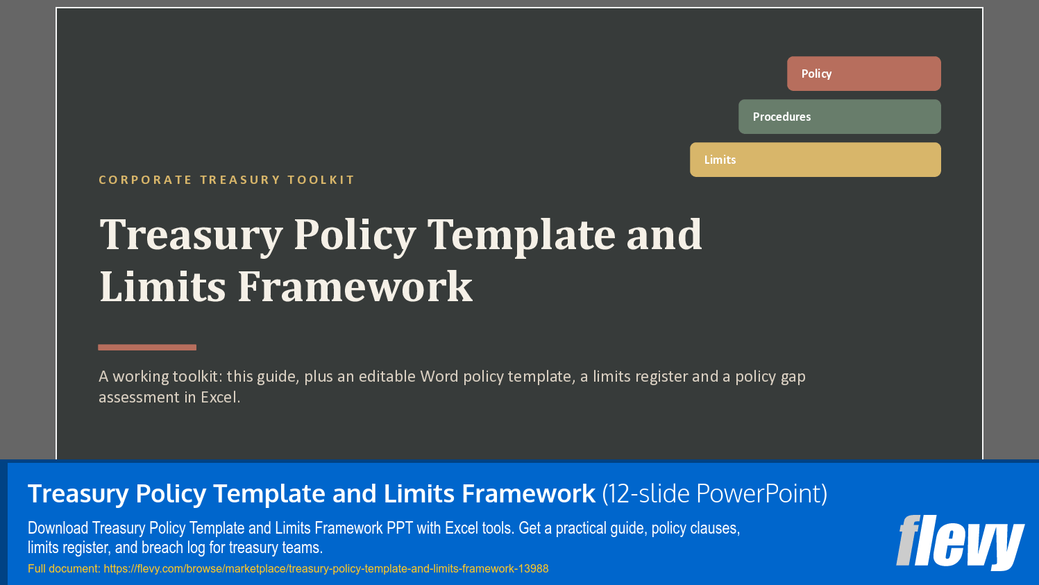 Treasury Policy Template and Limits Framework (12-slide PPT PowerPoint presentation template (PPTX)) Preview Image