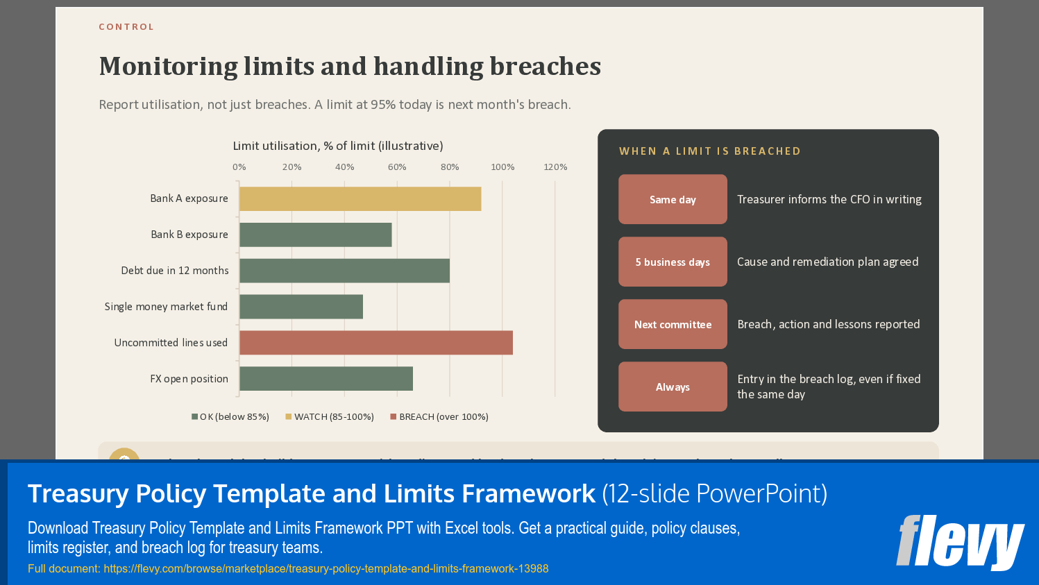 Treasury Policy Template and Limits Framework (12-slide PPT PowerPoint presentation template (PPTX)) Preview Image
