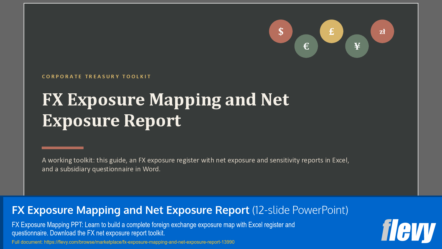 FX Exposure Mapping and Net Exposure Report (12-slide PPT PowerPoint presentation template (PPTX)) Preview Image