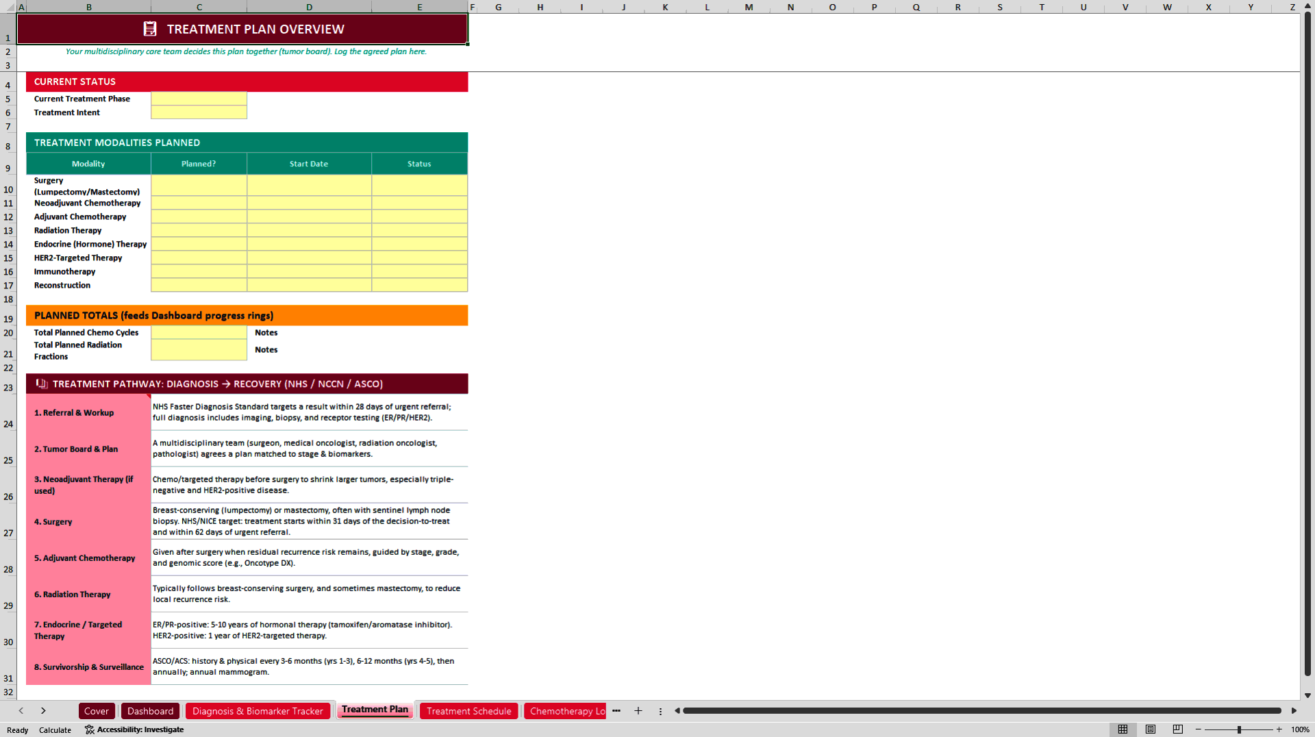 Pink Journey Pro: Breast Cancer Care and Recovery Tracker (Excel template (XLSX)) Preview Image