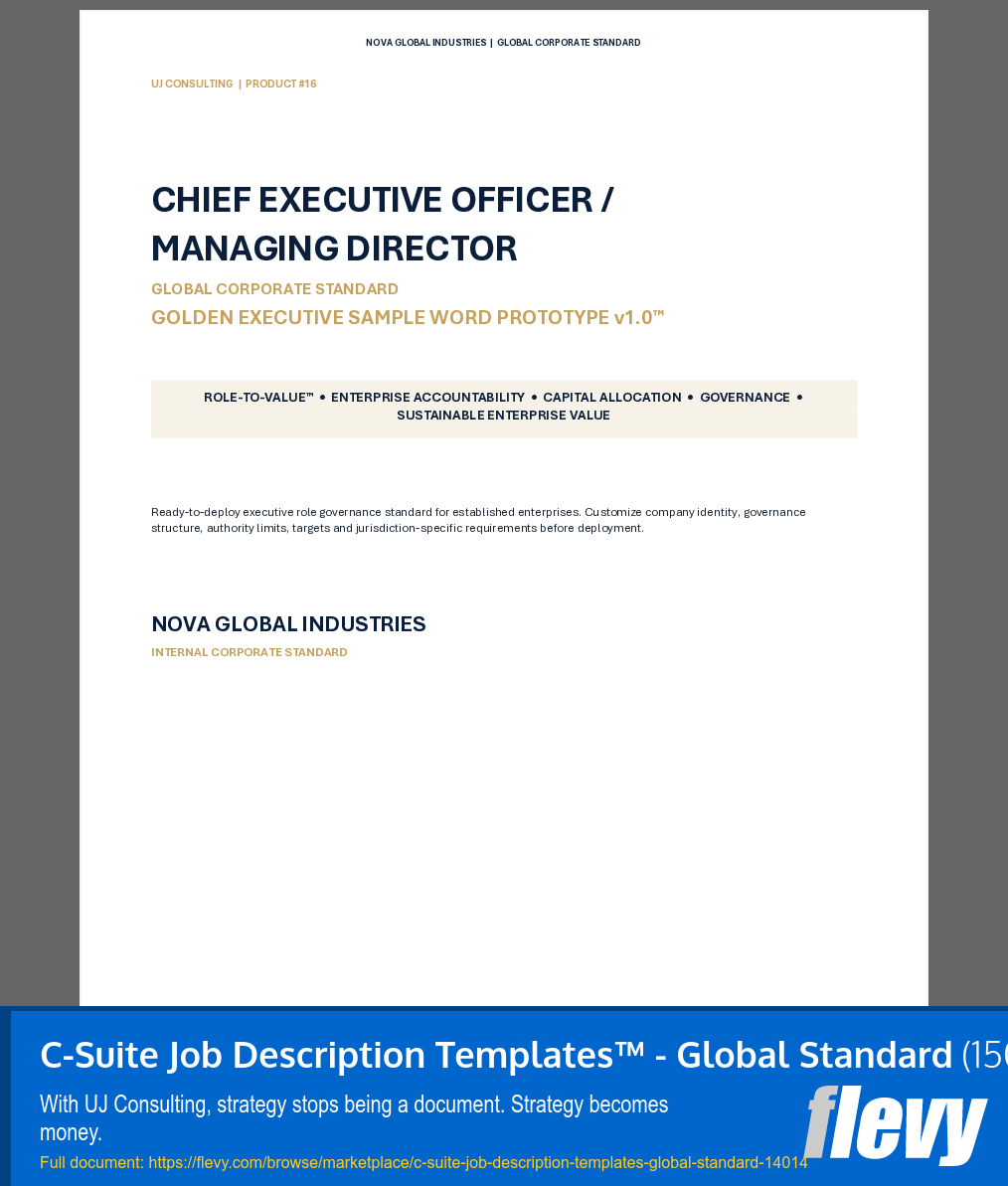C-Suite Job Description Templates™ - Global Standard (150-page Word document) Preview Image