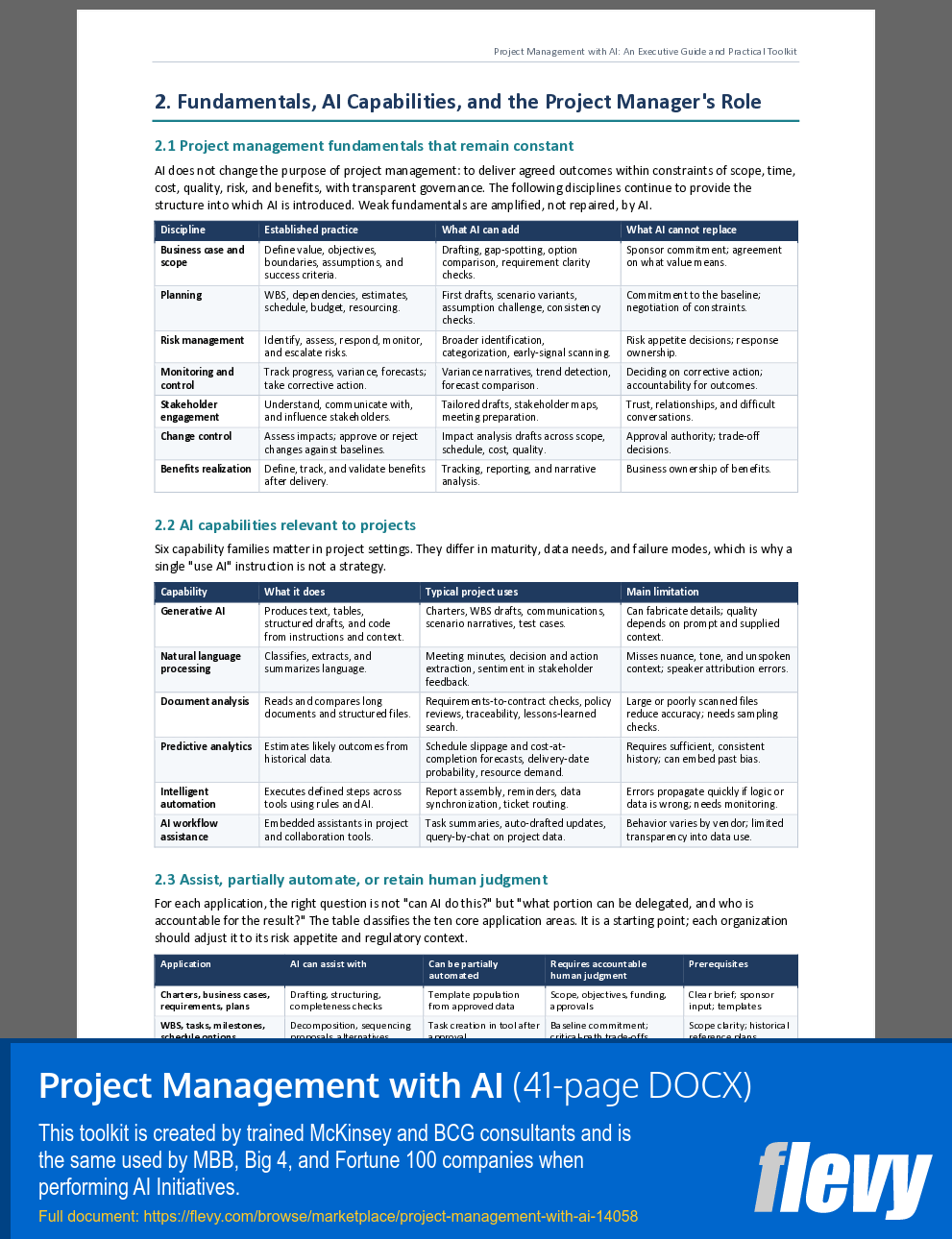 Project Management with AI (41-page Word document) Preview Image