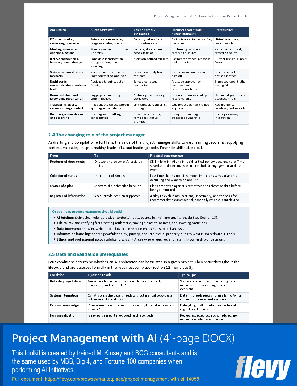 Project Management with AI (41-page Word document) Preview Image
