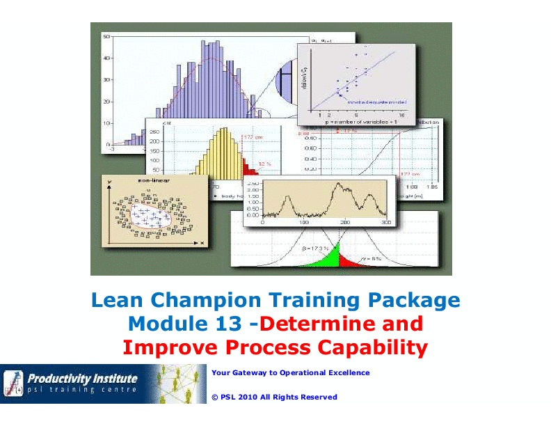 Lean BB Champ 13 - Determine and Improve Process Capability (60-slide PPT PowerPoint presentation (PPTX)) Preview Image