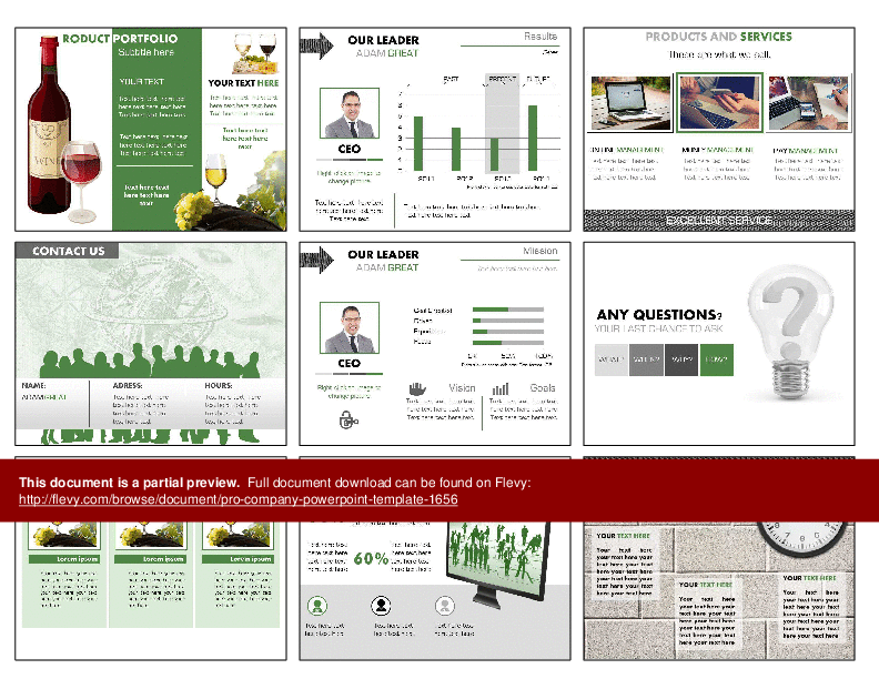 Pro Company PowerPoint Template (333-slide PPT PowerPoint presentation (PPTX)) Preview Image