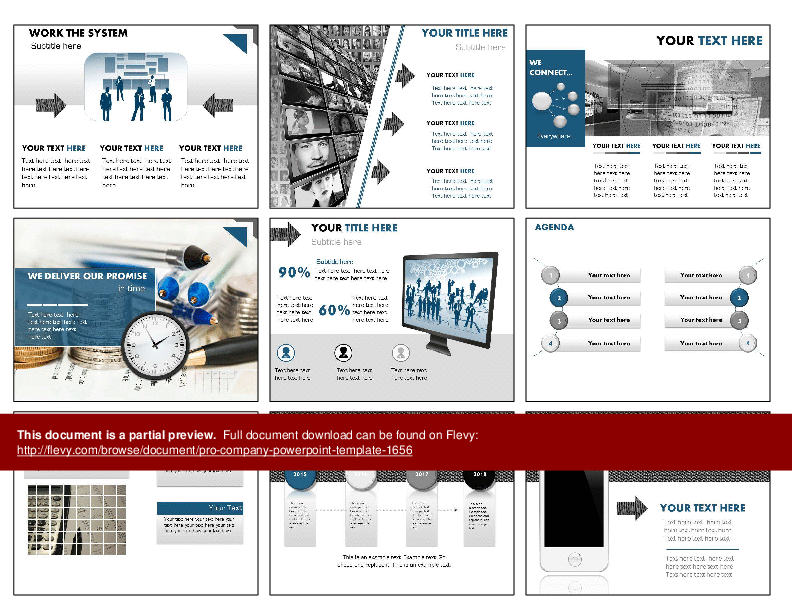 Pro Company PowerPoint Template (333-slide PPT PowerPoint presentation (PPTX)) Preview Image