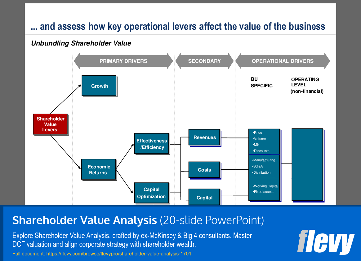 Shareholder Value Analysis (20-slide PPT PowerPoint presentation (PPT)) Preview Image