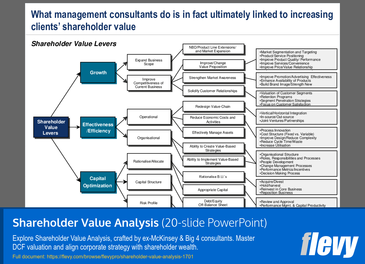 Shareholder Value Analysis (20-slide PPT PowerPoint presentation (PPT)) Preview Image