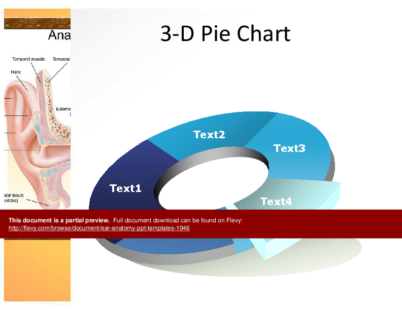 Ear Anatomy PPT Templates (21-slide PPT PowerPoint presentation (PPT)) Preview Image