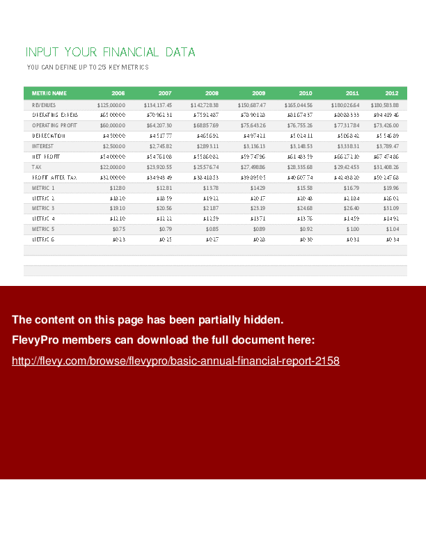 Basic Annual Financial Report (Excel template (XLSX)) Preview Image