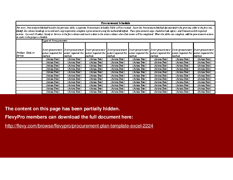 Procurement Plan Template (Excel template (XLS)) Preview Image