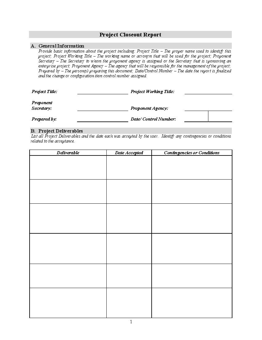 Project Closeout Report (10-page Word document) Preview Image