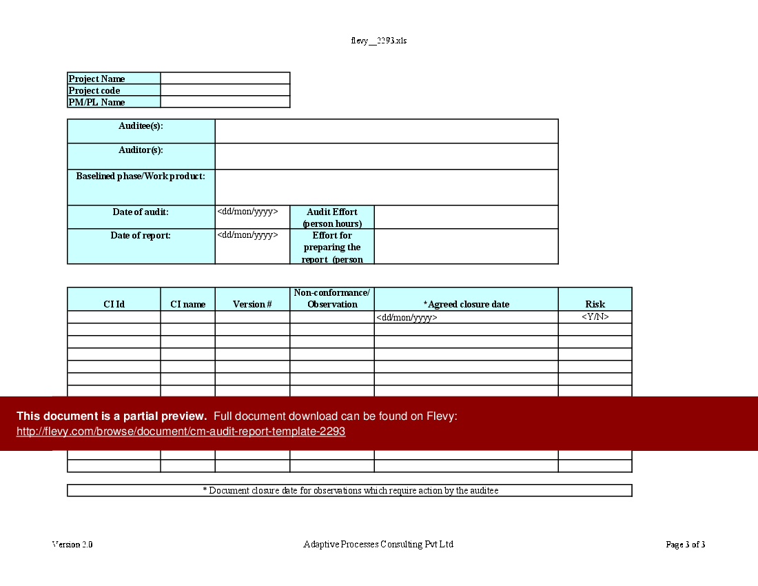 CM Audit Report Template (Excel workbook (XLS)) Preview Image