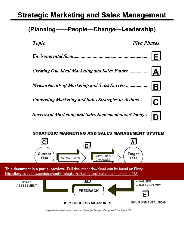 Strategic Marketing & Sales Plan Template (71-page Word document) Preview Image