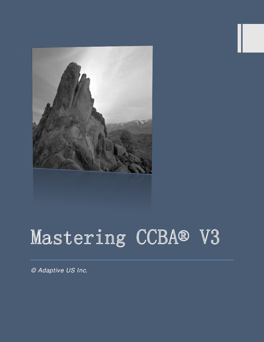 CCBA v3 Study Guide (system based access) (45-page PDF document) Preview Image