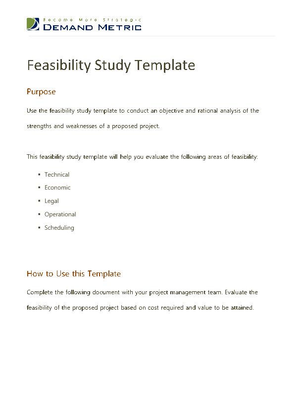 Feasibility Study Template (9-page Word document) Preview Image