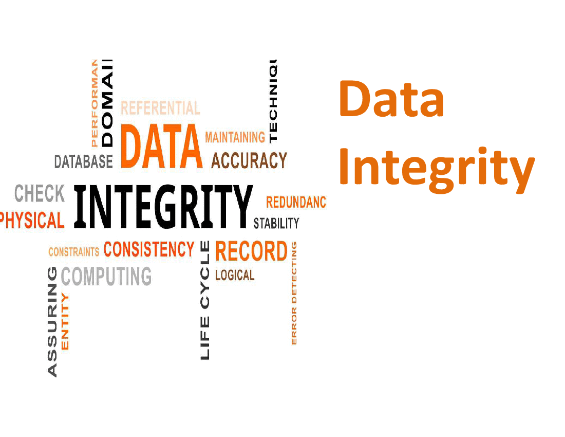 Adaptive Data Modelling Workshop 6 Data Integrity