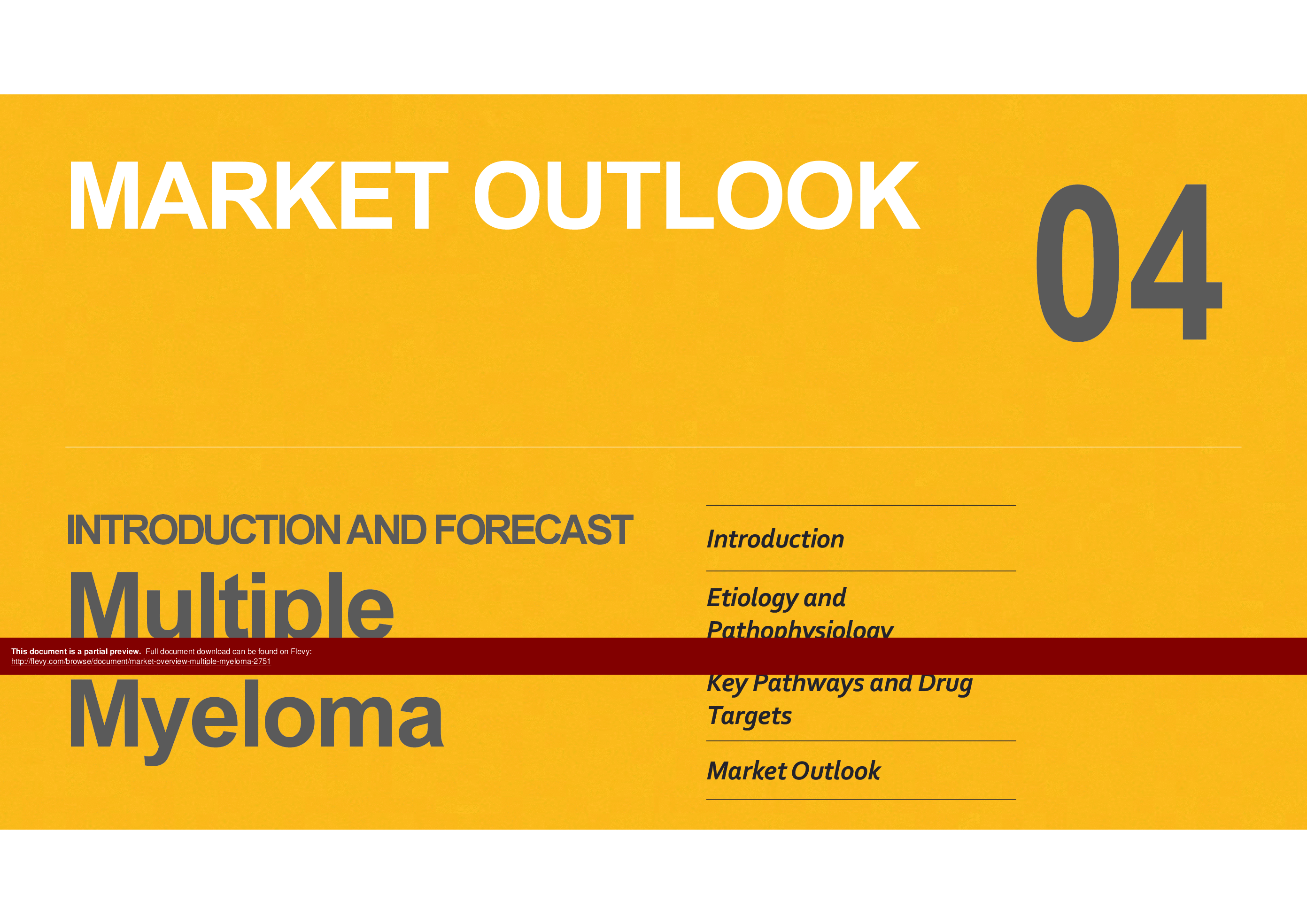 Market Overview: Multiple Myeloma (27-page PDF document) Preview Image