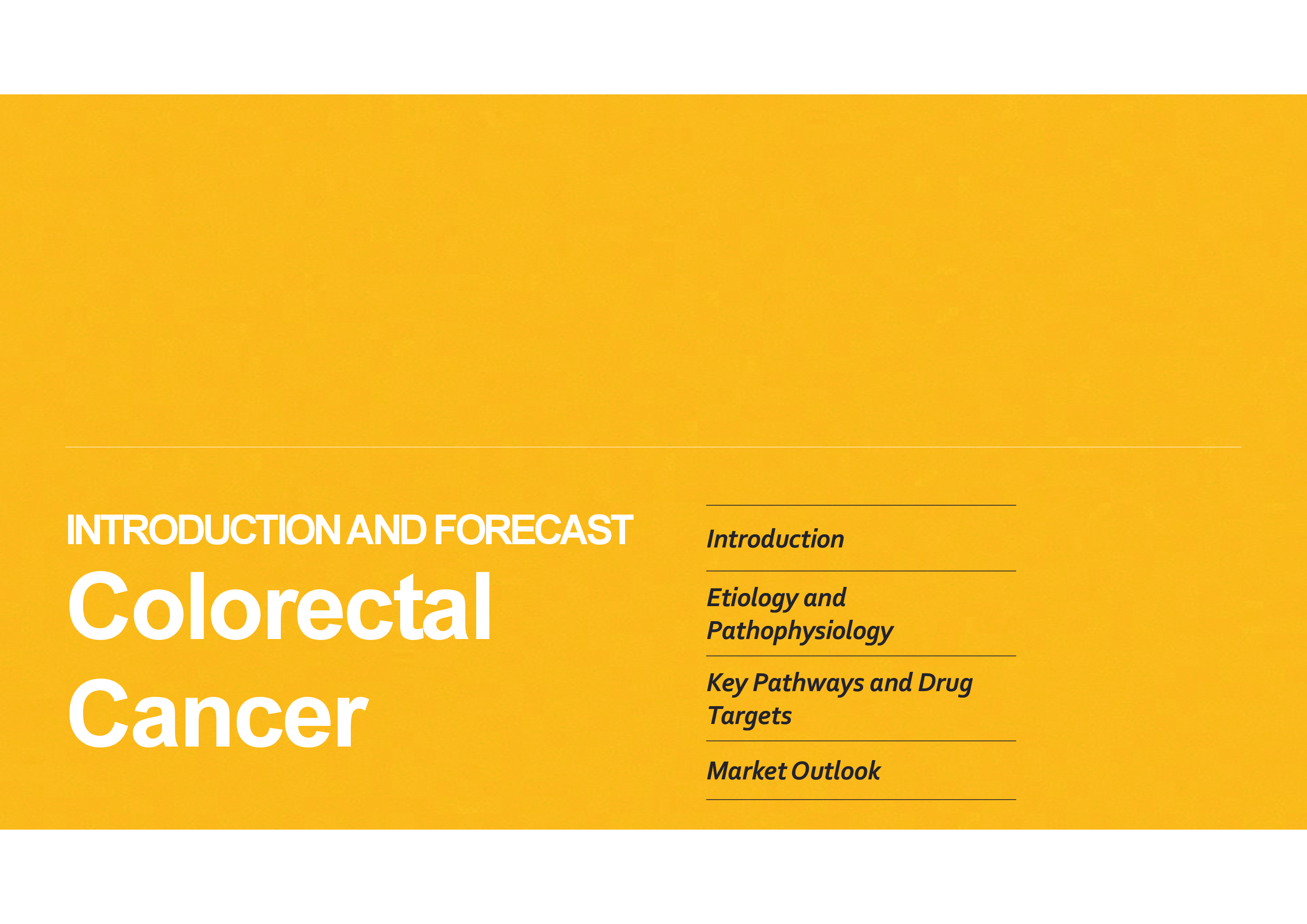 Market Overview: Colorectal Cancer (26-page PDF document) Preview Image