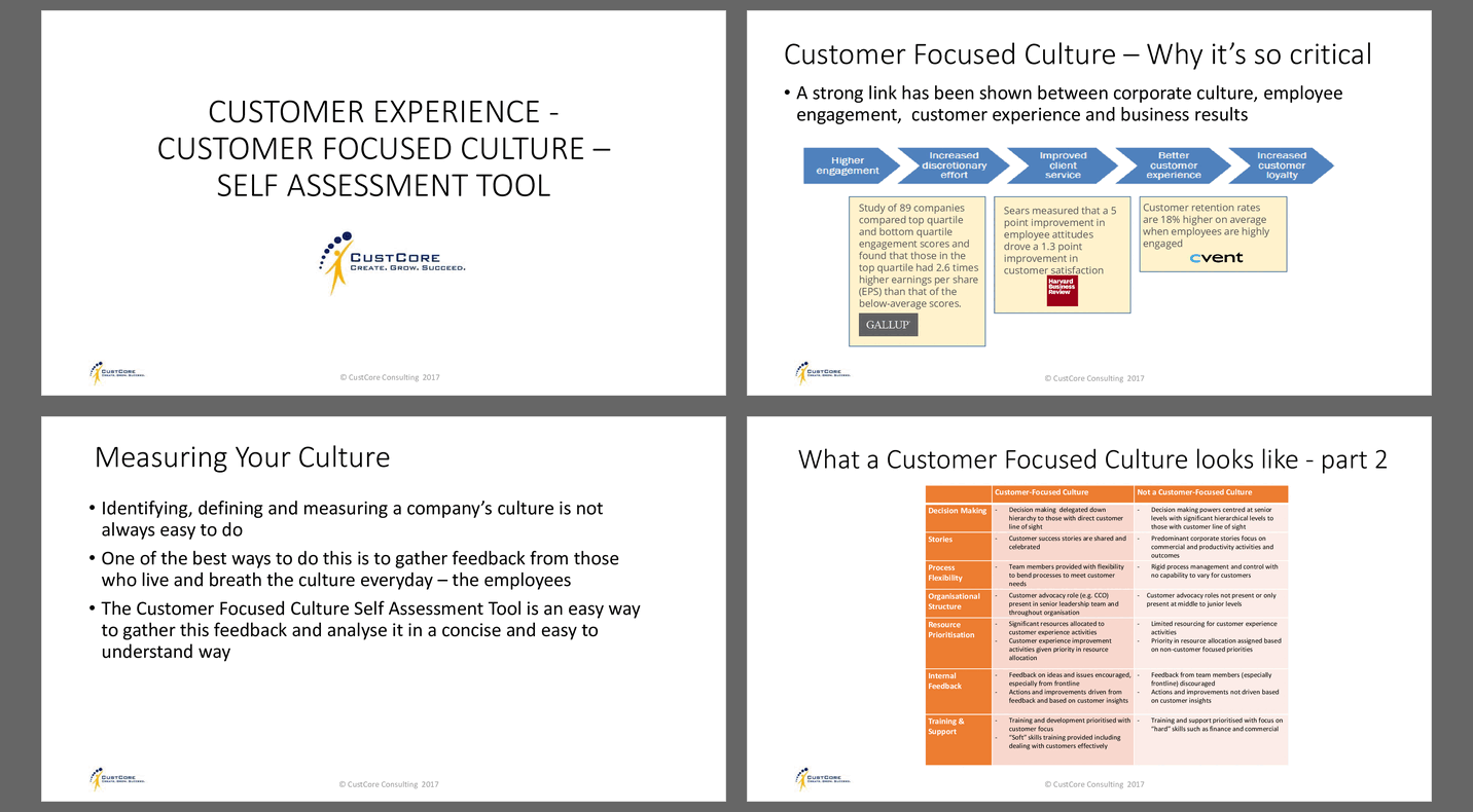 Customer Centric Culture Self Assessment Framework