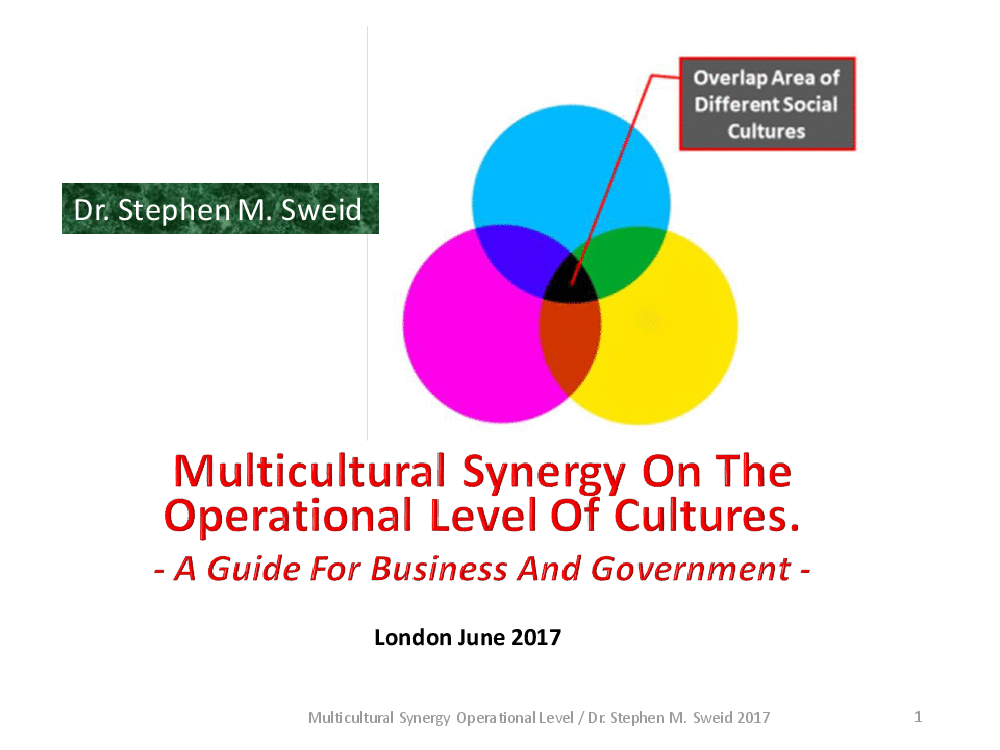 Multicultural Synergy on the Operational Level of Cultures