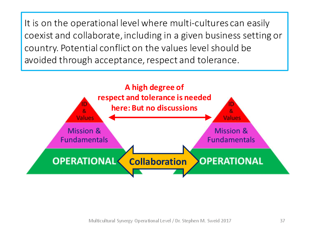 Multicultural Synergy on the Operational Level of Cultures (94-page PDF document) Preview Image