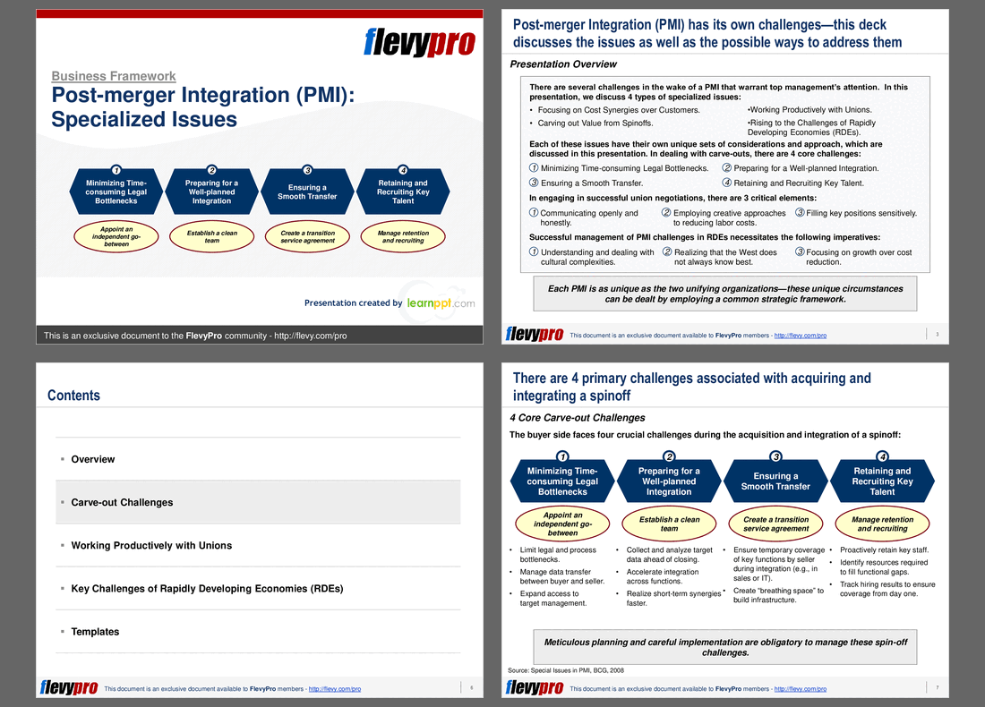 Post-merger Integration (PMI): Specialized Issues (25-slide PPT PowerPoint presentation (PPT)) Preview Image