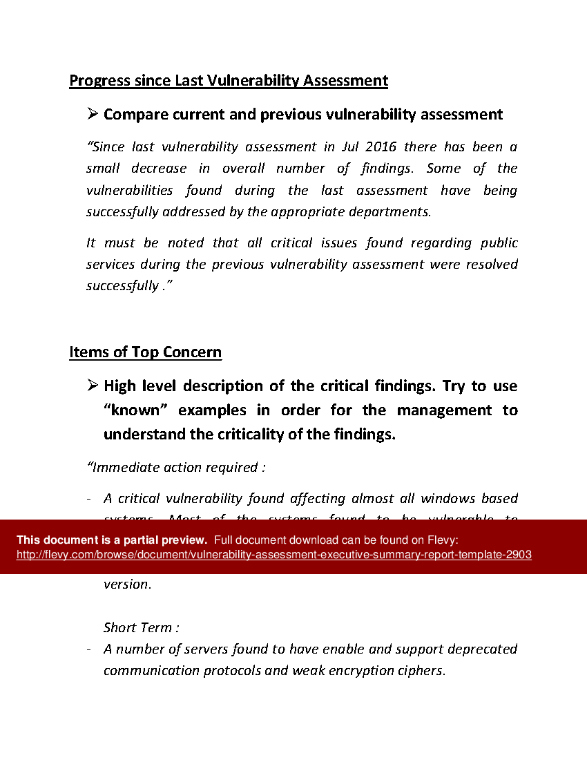 Vulnerability Assessment - Executive Summary Report Template () Preview Image