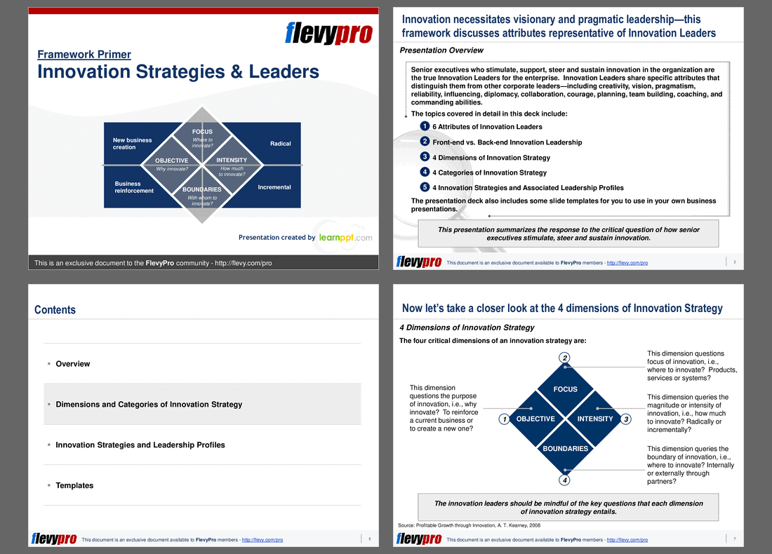 Innovation Strategies & Leaders (19-slide PPT PowerPoint presentation (PPT)) Preview Image