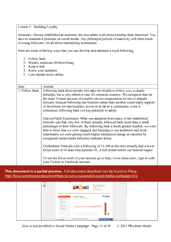 This is a partial preview of How to Run a Successful Social Media Campaign (45-page PDF document). Full document is 45 pages. 