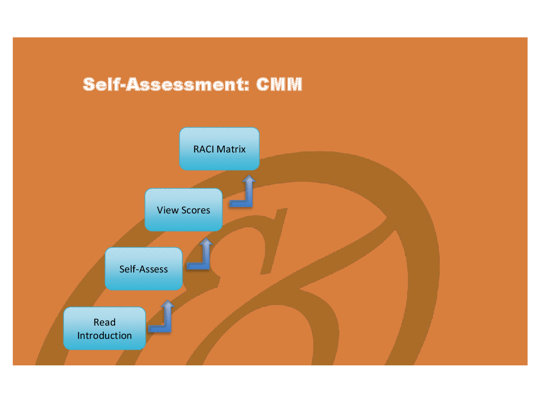 Assessment Dashboard - Capability Maturity Model (CMM)