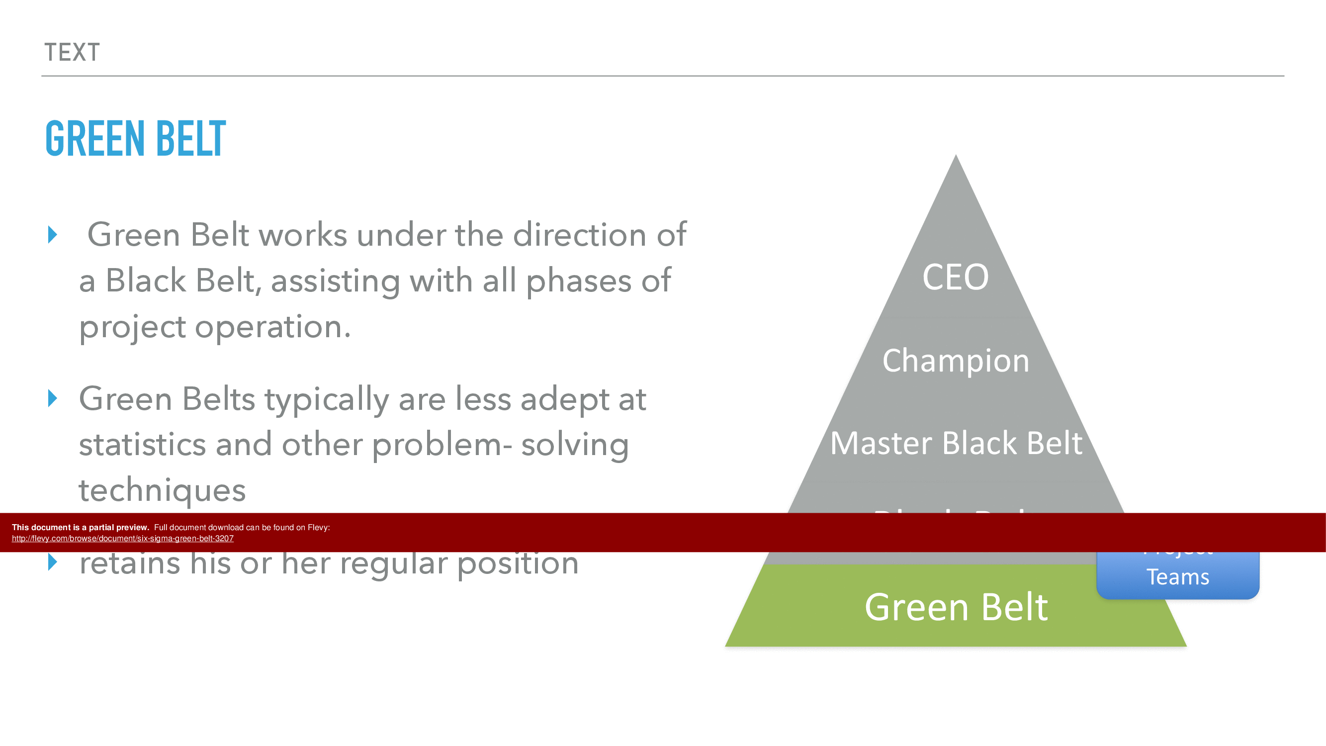 Six Sigma Green Belt (1042-page PDF document) Preview Image