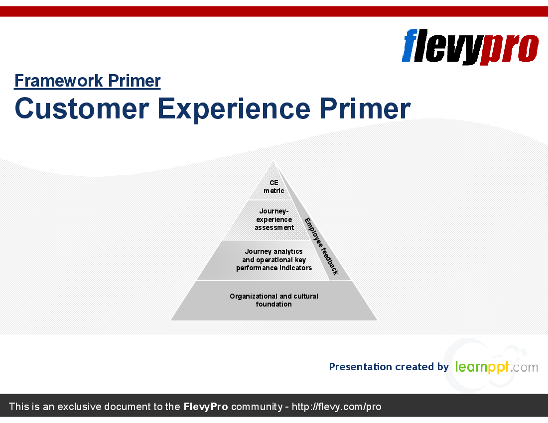 Customer Experience Primer (23-slide PowerPoint presentation (PPT)) Preview Image