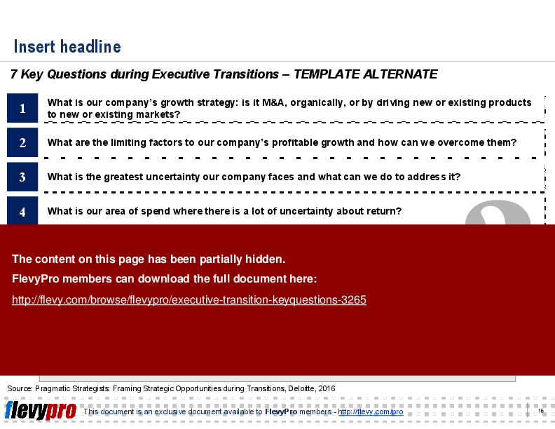 Executive Transition - Key Questions (20-slide PPT PowerPoint presentation (PPT)) Preview Image