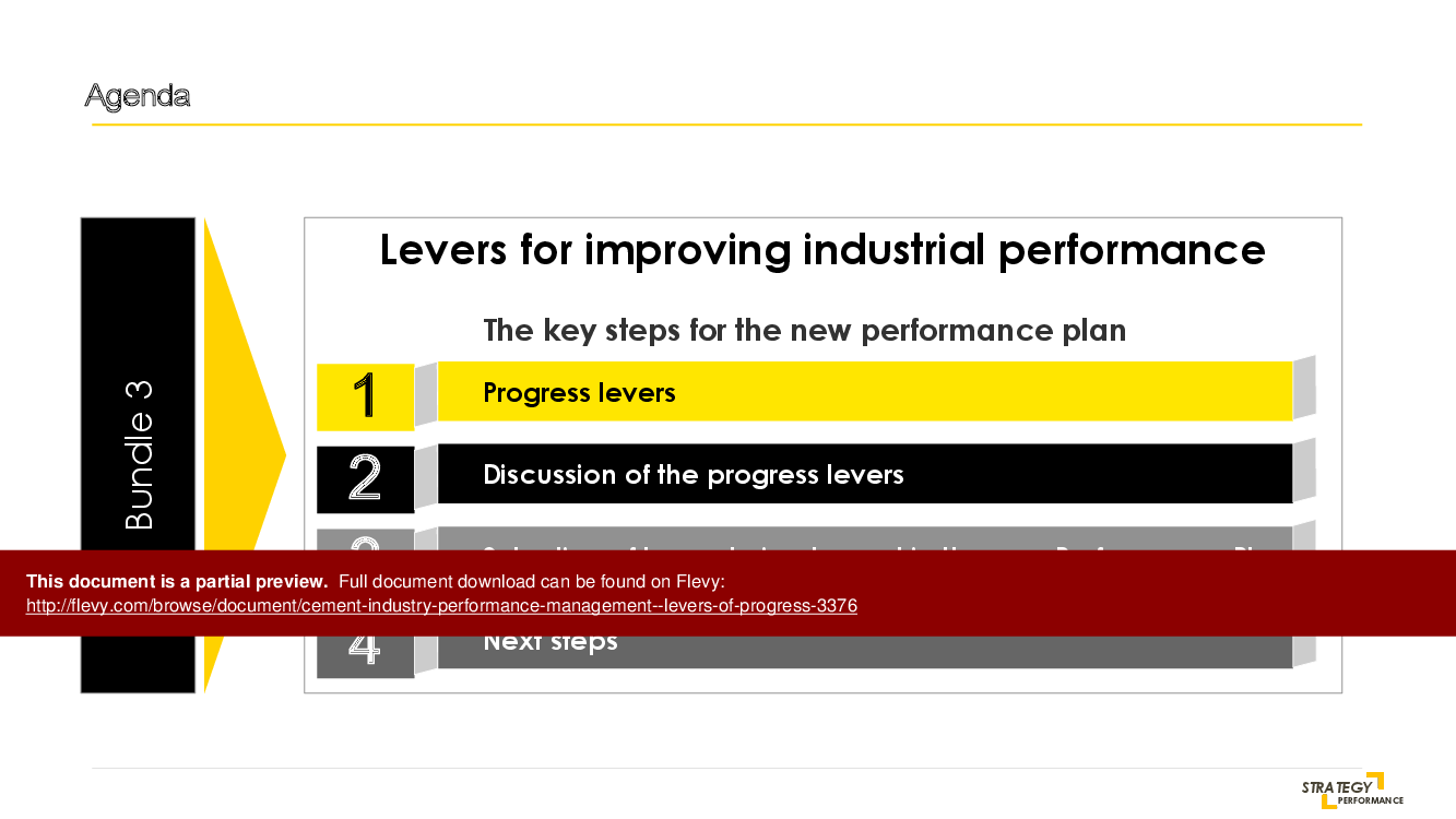 Step 2: Defining Improvment Levers of the PIP (61-page PDF document) Preview Image