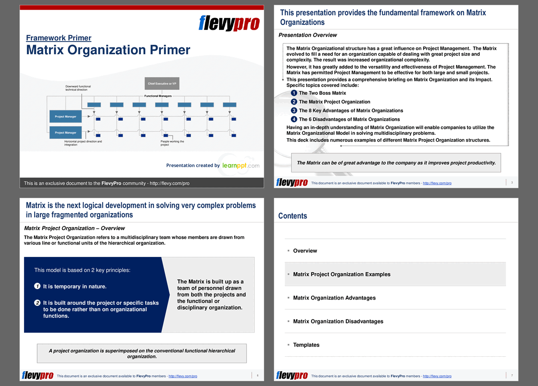 Matrix Organization Primer (27-slide PPT PowerPoint presentation (PPT)) Preview Image