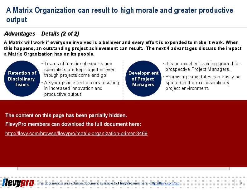 Matrix Organization Primer (27-slide PPT PowerPoint presentation (PPT)) Preview Image