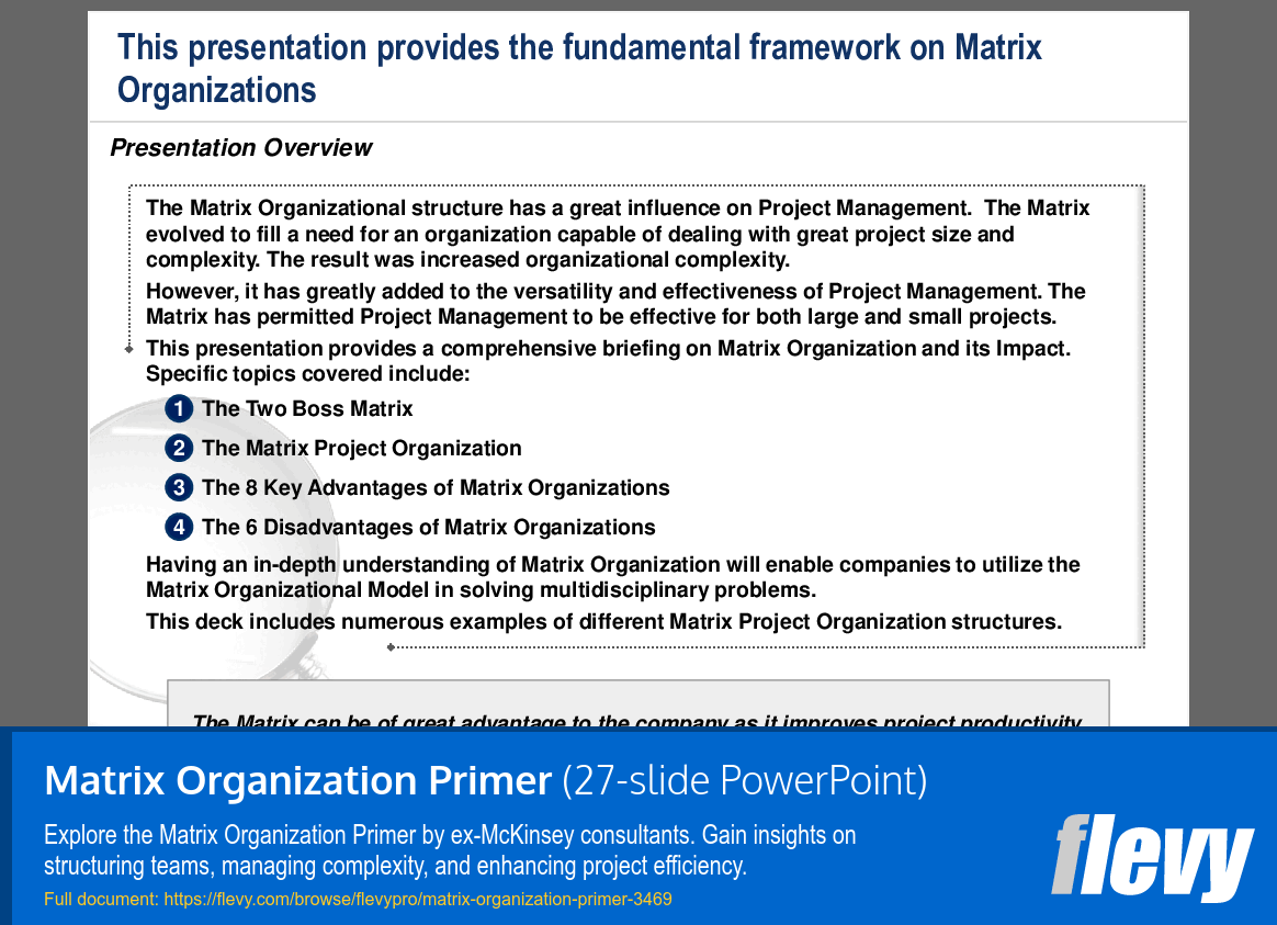 Matrix Organization Primer (27-slide PPT PowerPoint presentation (PPT)) Preview Image