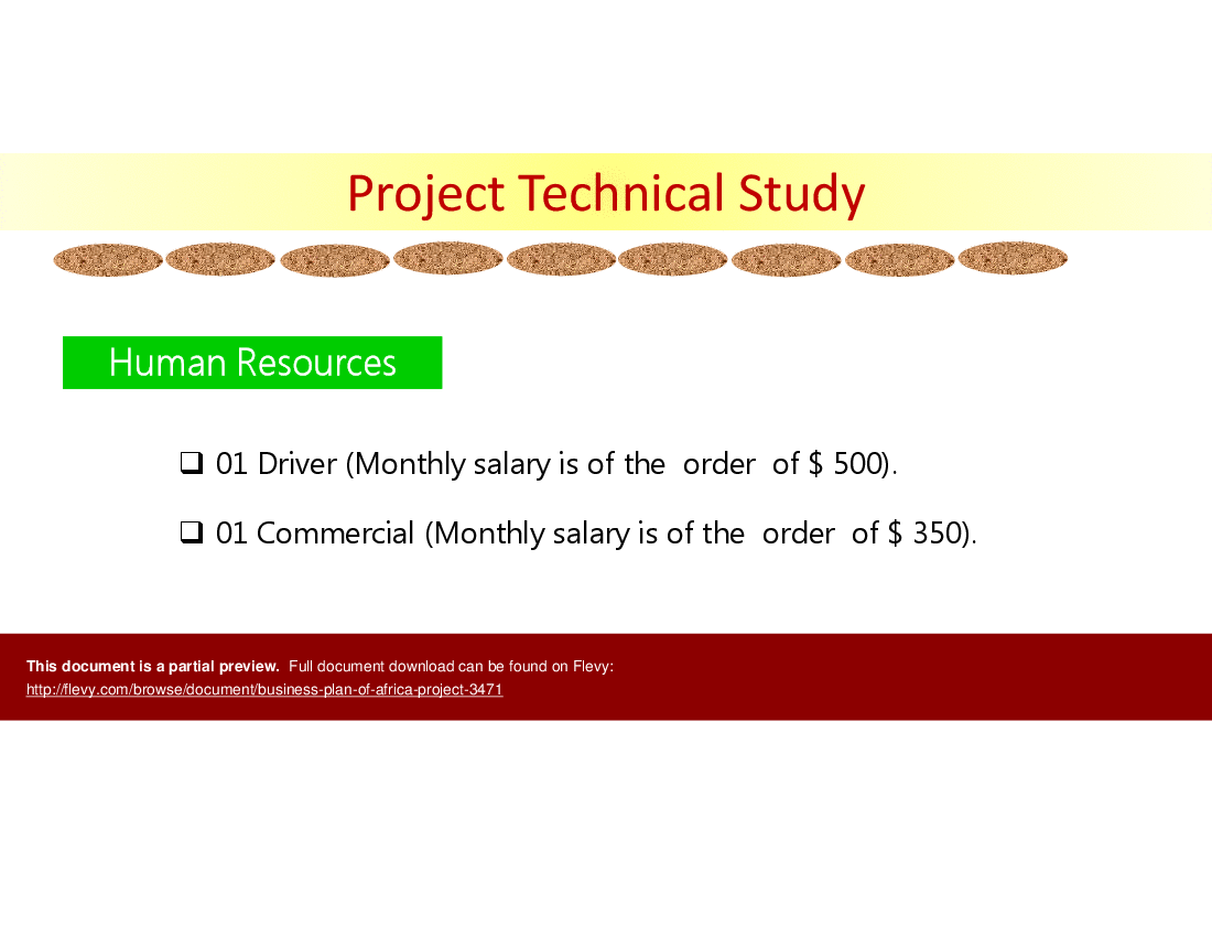 Business Plan of Africa Project (16-slide PPT PowerPoint presentation (PPTX)) Preview Image
