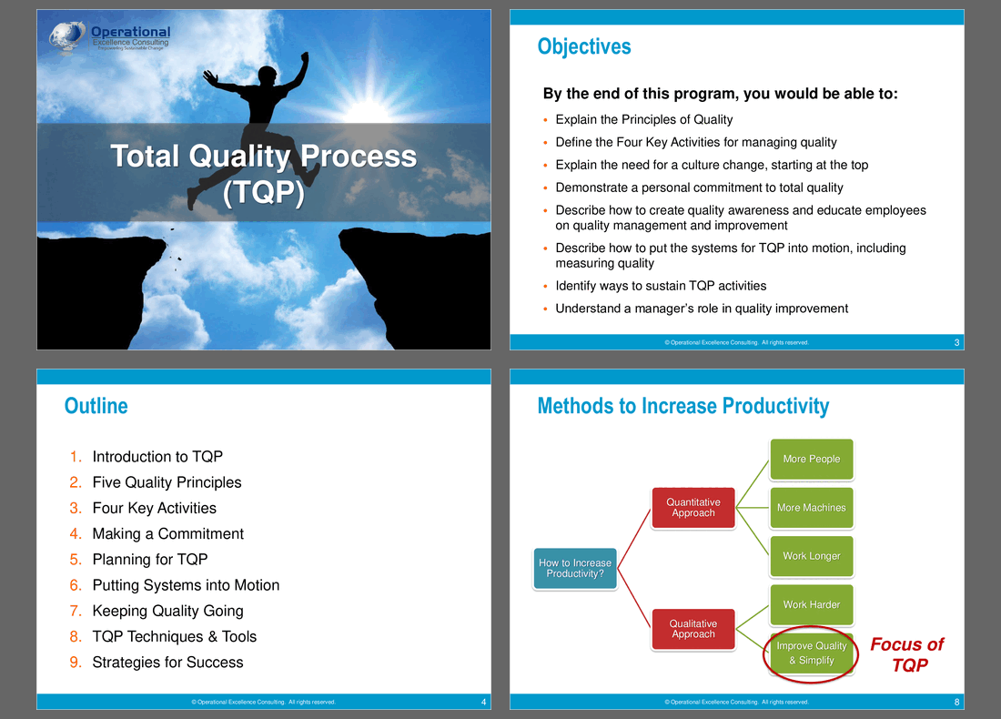 Total Quality Process (TQP) (100-slide PPT PowerPoint presentation (PPTX)) Preview Image