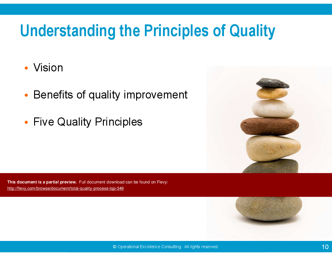 Total Quality Process (TQP) (100-slide PowerPoint presentation (PPTX)) Preview Image