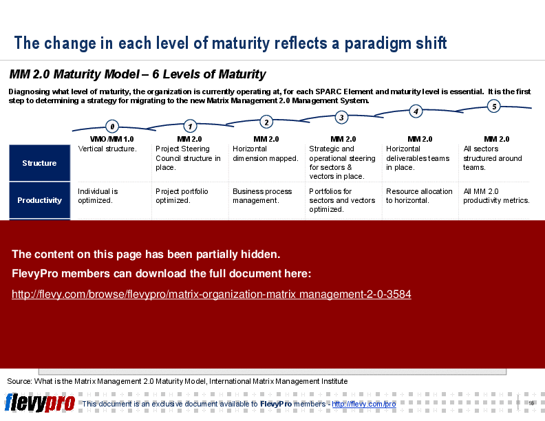 Matrix Organization: Matrix Management 2.0 (26-slide PPT PowerPoint presentation (PPT)) Preview Image