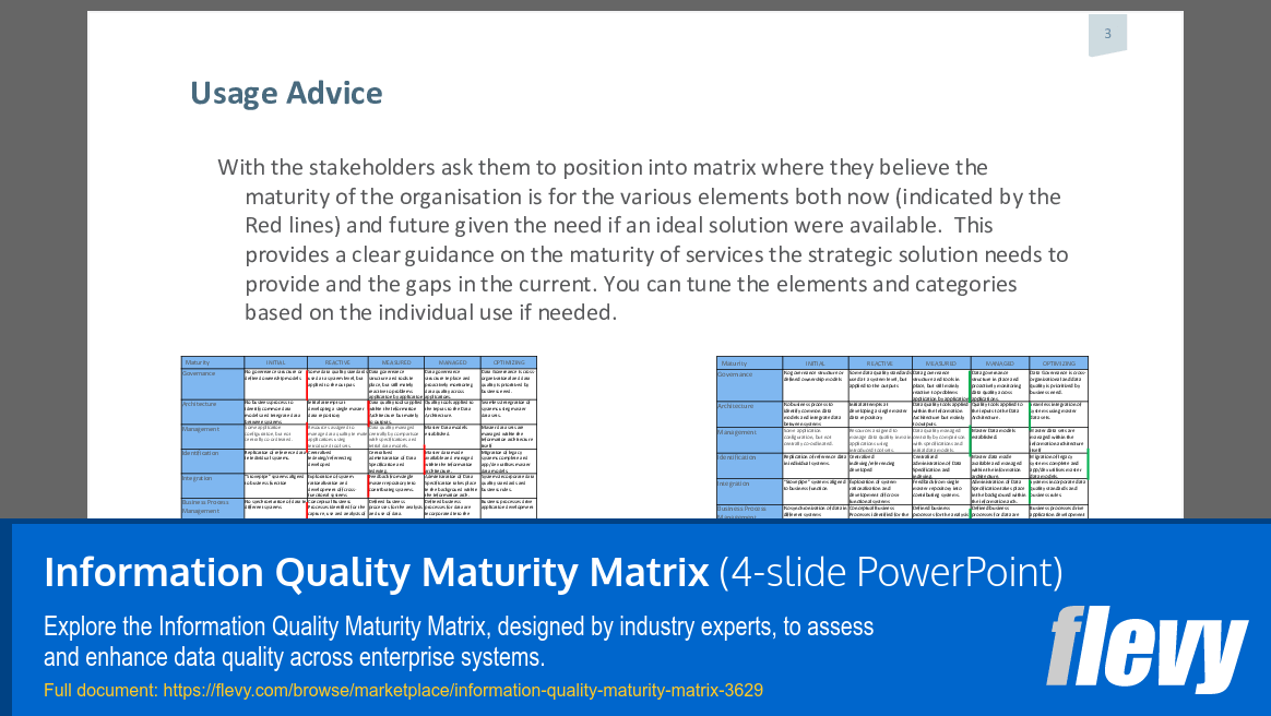 Information Quality Maturity Matrix (4-slide PPT PowerPoint presentation (PPTX)) Preview Image