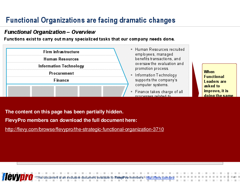 This is a partial preview of The Strategic Functional Organization (28-slide PowerPoint presentation (PPT)). Full document is 28 slides. 
